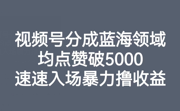 视频号分成蓝海领域，均点赞破5000，速速入场暴力撸收益-逐风项目库