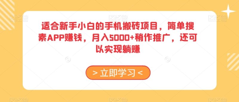 适合新手小白的手机搬砖项目，简单搜素APP赚钱，月入5000+稍作推广，还可以实现躺赚【揭秘】-逐风项目库