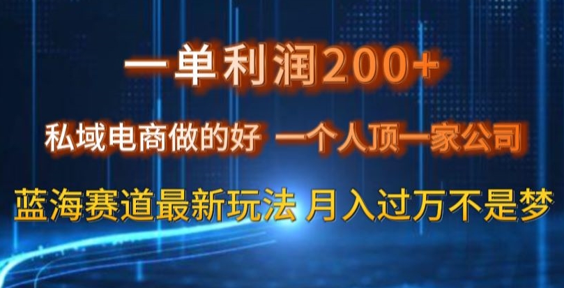 一单利润200私域电商做的好，一个人顶一家公司蓝海赛道最新玩法【揭秘】-逐风项目库