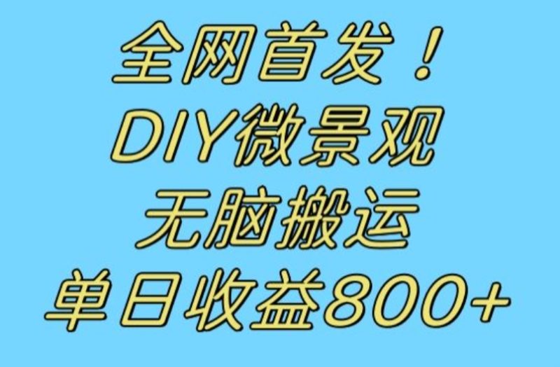 全网首发冷门赛道！DIY微景观，无脑搬运视频，日收益800+【揭秘】-逐风项目库