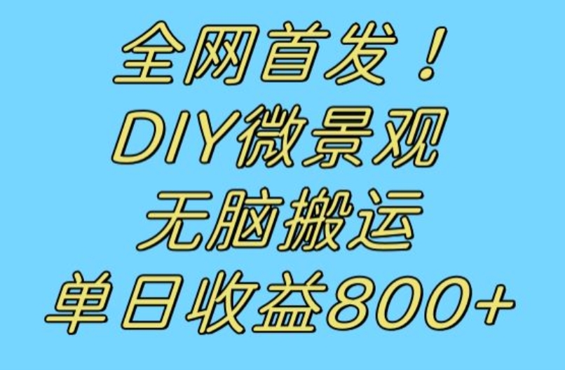 全网首发冷门赛道！DIY微景观，无脑搬运视频，日收益800+【揭秘】-逐风项目库