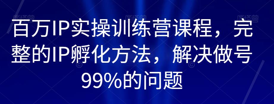 百万IP实操训练营课程，完整的IP孵化方法，解决做号99%的问题-逐风项目库