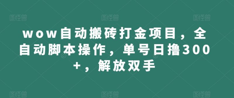 wow自动搬砖打金项目，全自动脚本操作，单号日撸300+，解放双手【揭秘】-逐风项目库