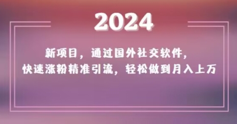 2024新项目，通过国外社交软件，快速涨粉精准引流，轻松做到月入上万【揭秘】-逐风项目库