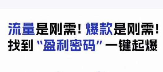 电商盈利精品课：6大盈利密码让产品更好卖，流量是刚需！爆款是刚需！找到”盈利密码”一键起爆-逐风项目库