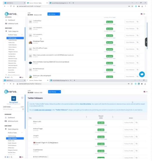 外面收费1988海外平台点赞关注全自动挂机项目，单机一天30美金【自动脚本+详细教程】-逐风项目库
