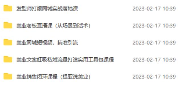 5套·美业短视频运营课从场景到话术·精准引流·吸金文案工具·销售闭环等-逐风项目库