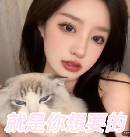 微信交友变现项目，吸引全网LSP男粉精准变现，小白也能轻松上手，日入500+-逐风项目库