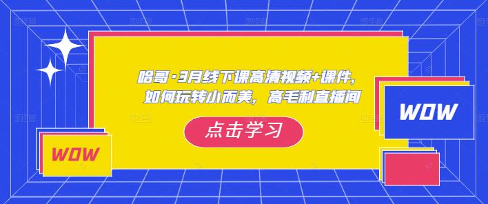 哈哥·3月线下实操课高清视频+课件，如何玩转小而美，高毛利直播间-逐风项目库
