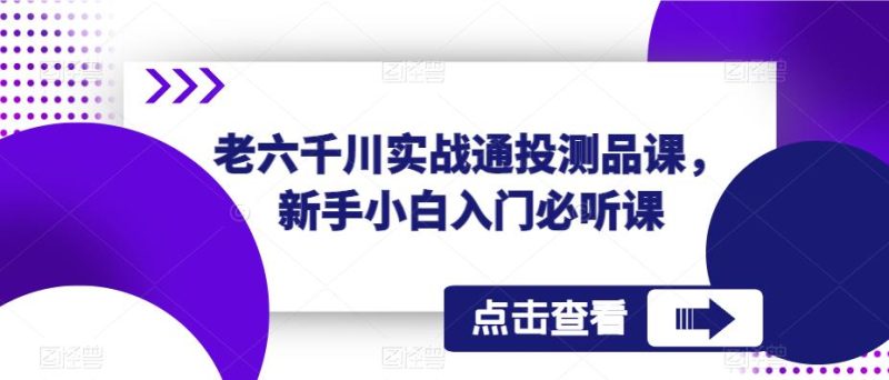 老六千川实战通投测品课，新手小白入门必听课-逐风项目库