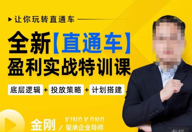 玺承·全新直通车盈利实战特训课，从​底层逻辑详细拆解，从底层，策略到搭建，让你玩转直通车-逐风项目库